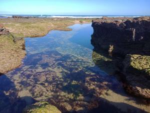 phillip island beach